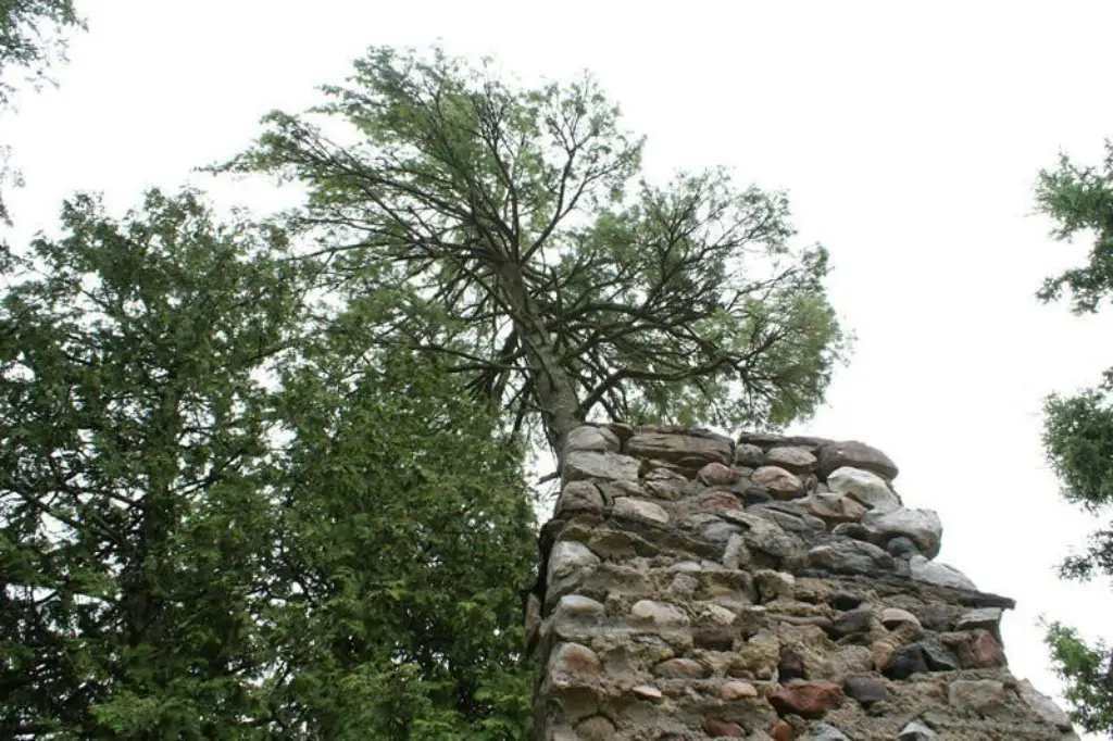 Picture 14