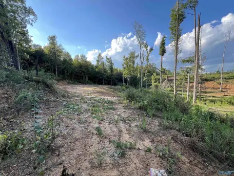 Cullman Acreage for Dream Home