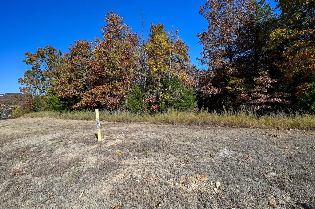 Picture 8
