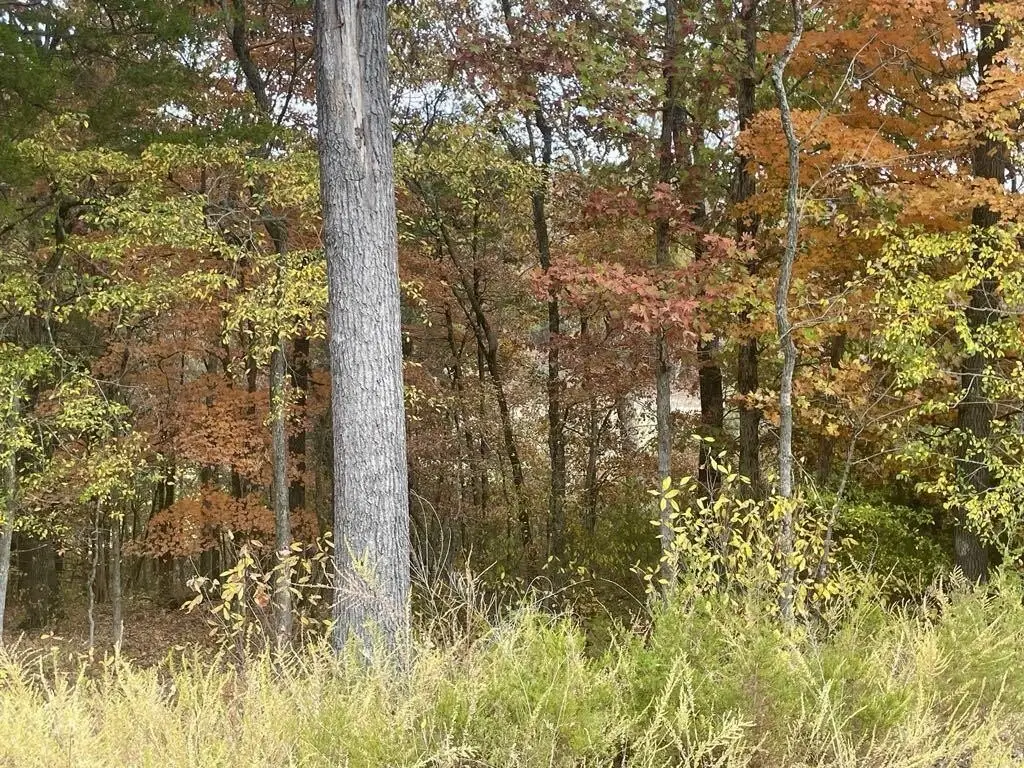 Picture 4