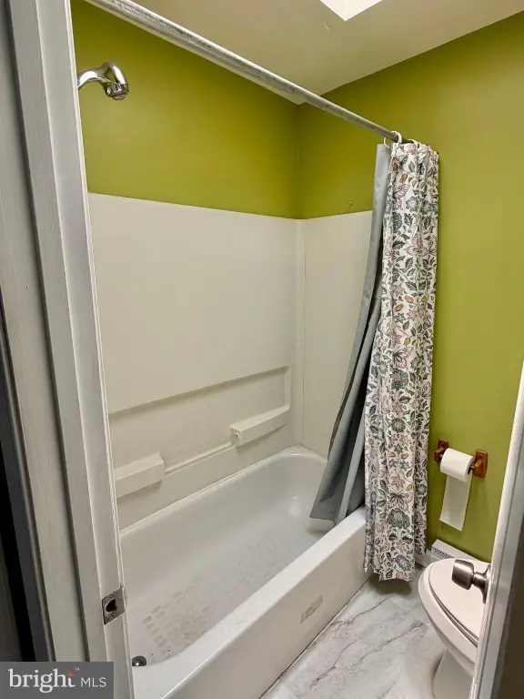 Picture 15