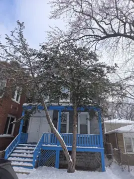Chicago Two-Flat Residential Income Property