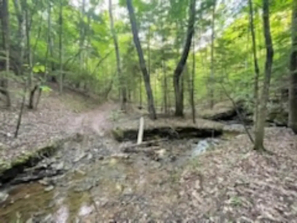 Picture 13
