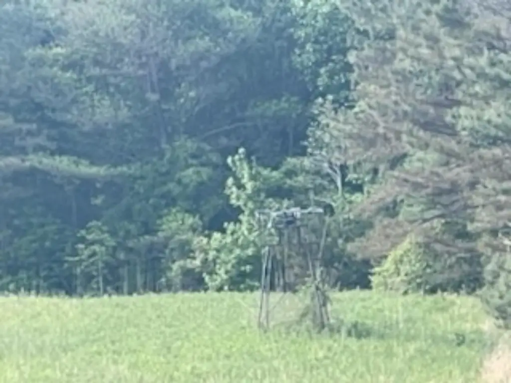 Picture 4