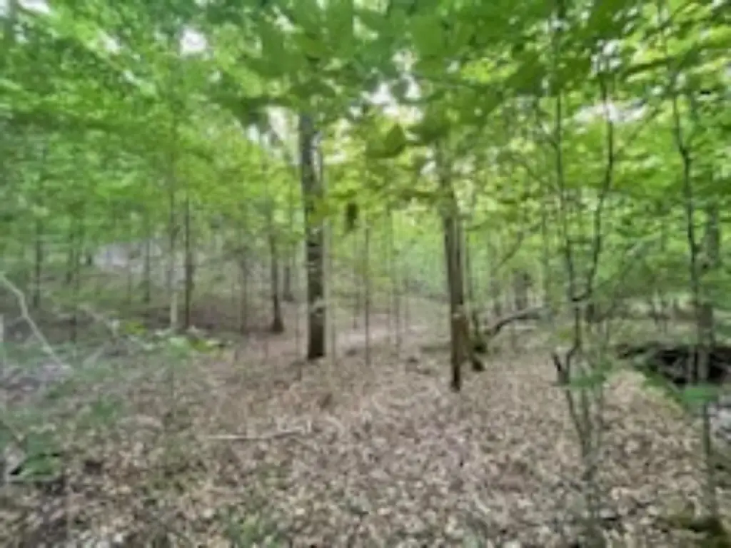 Picture 14