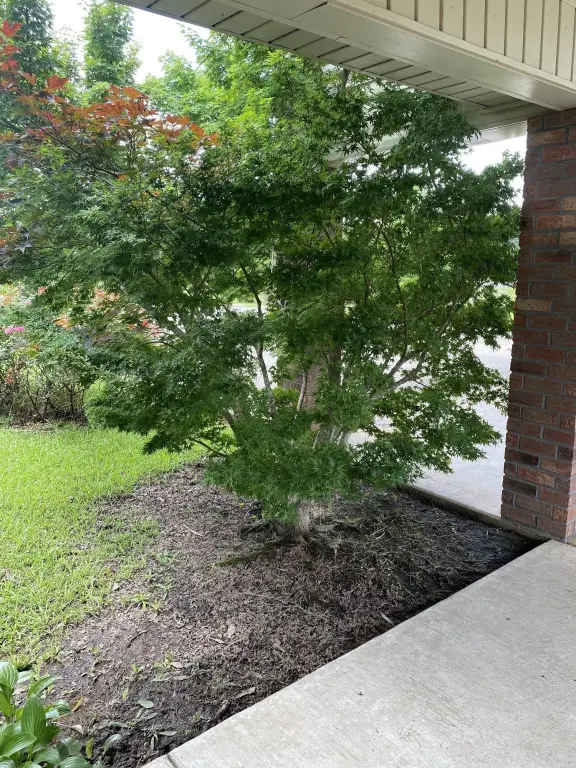 Picture 21