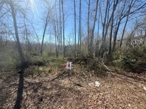 Land For Sale - Jacks Creek