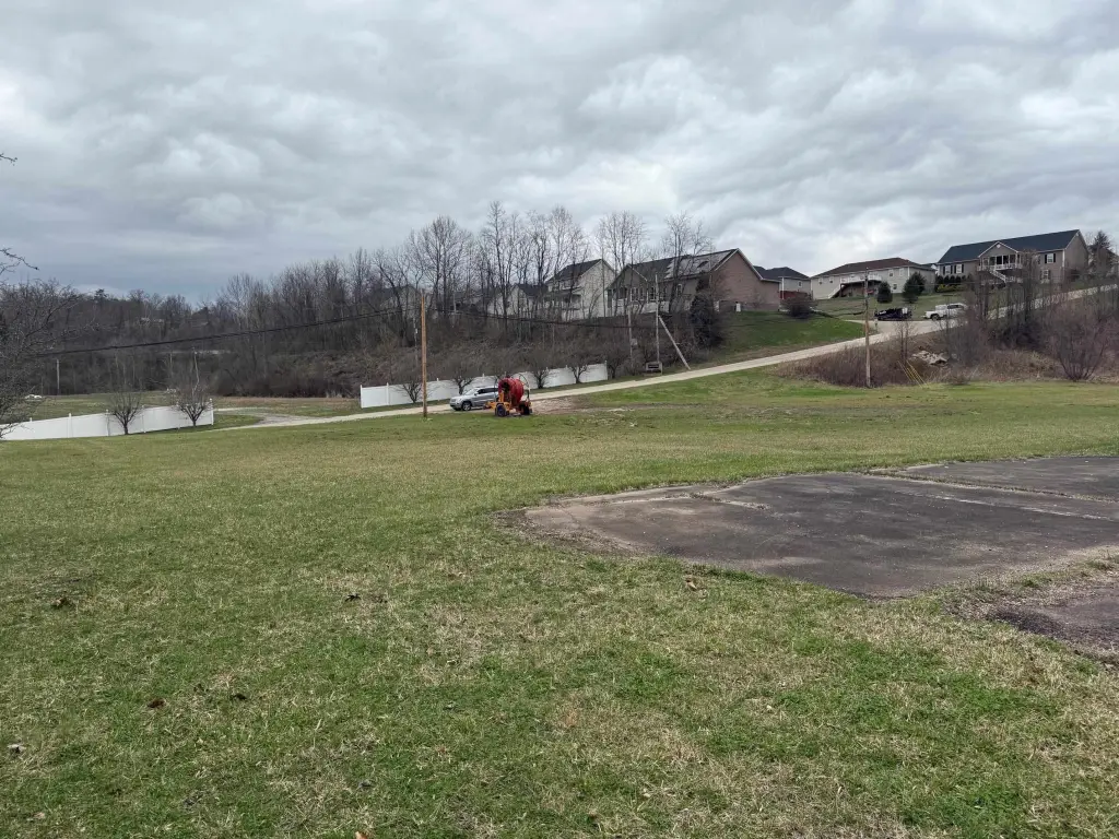 Picture 5