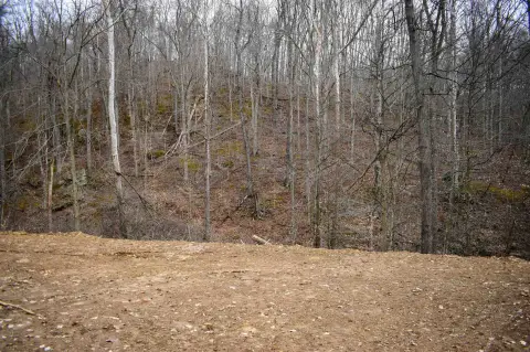 28.93 Acre Residential Lot