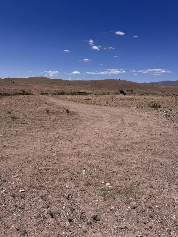 Picture 25