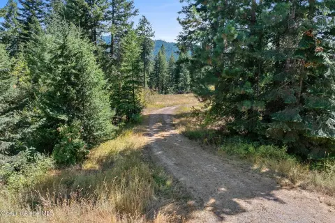 North Idaho Vacant Land