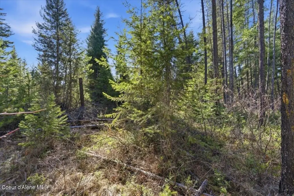 Picture 10
