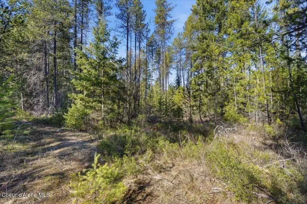 Picture 13