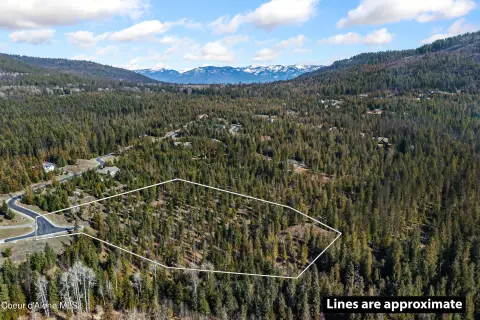 Forested Land Parcel Near Sandpoint