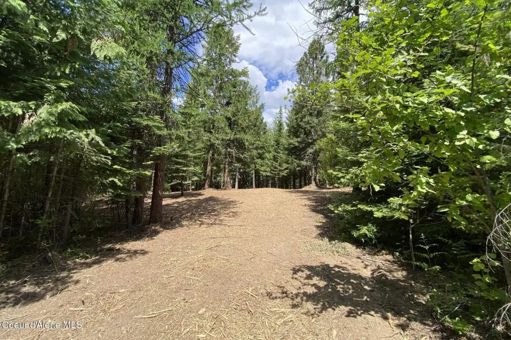 Picture 5