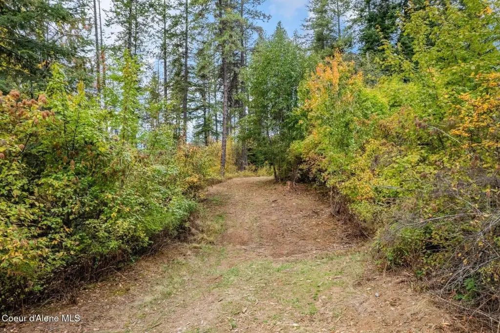 Picture 23