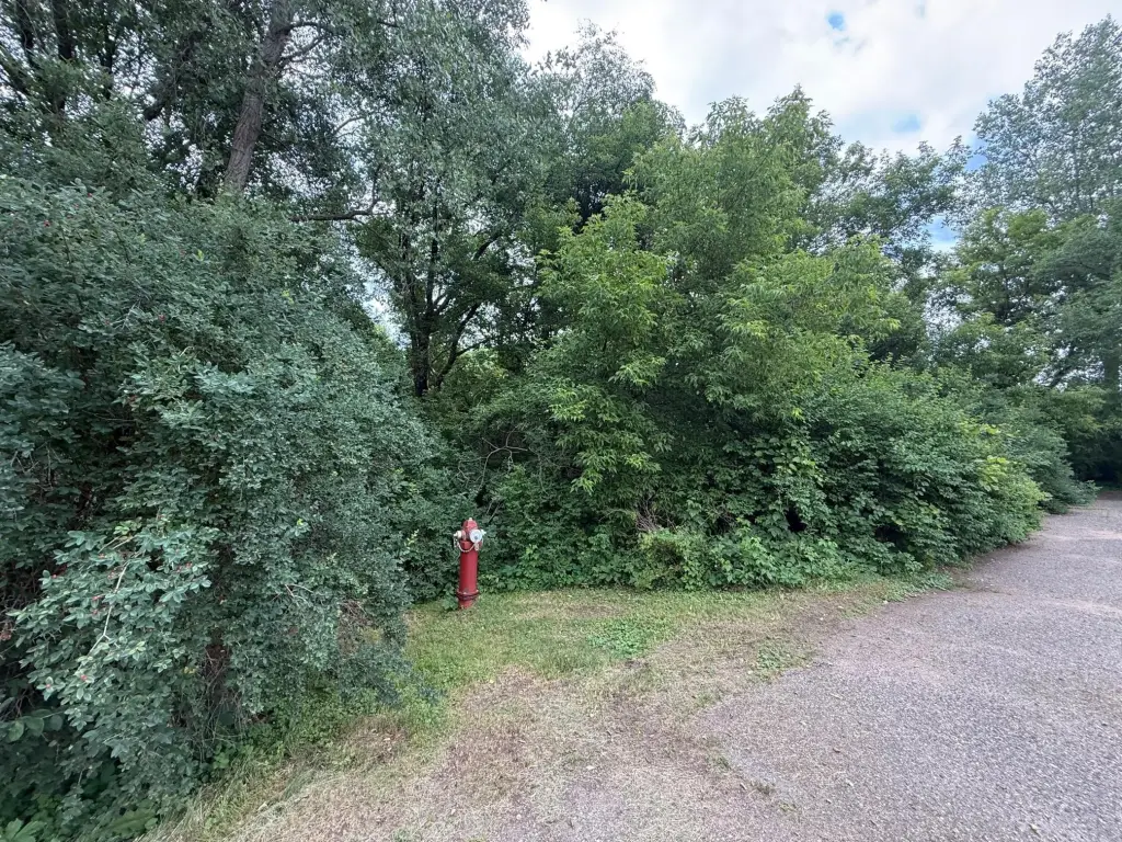 Picture 13