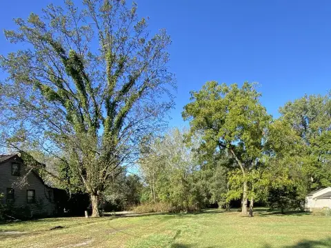 Wooded Lot in Growing Community