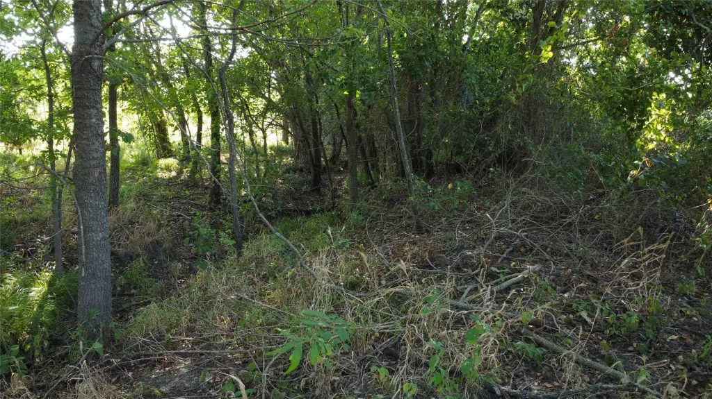 Picture 24