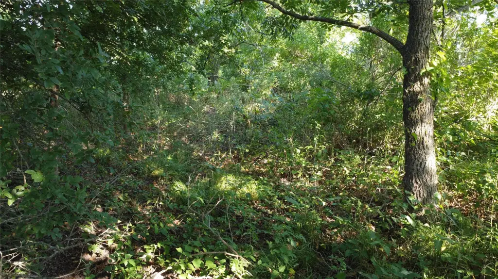 Picture 22