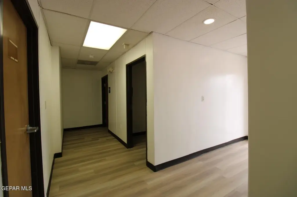 Picture 8