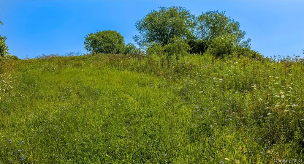 Picture 10
