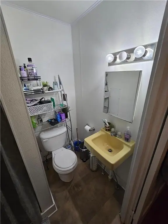 Picture 14