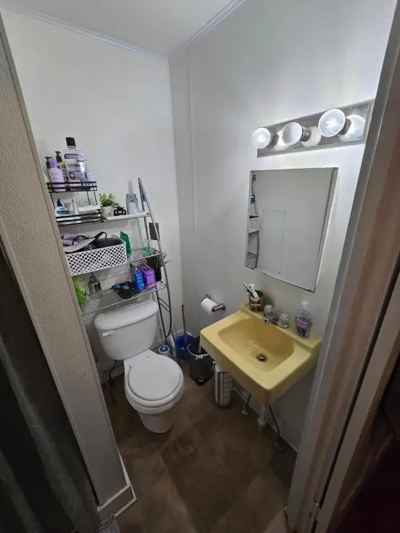Picture 14
