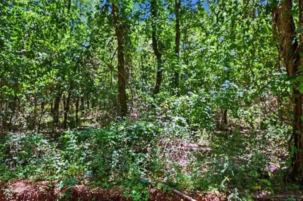 Picture 6