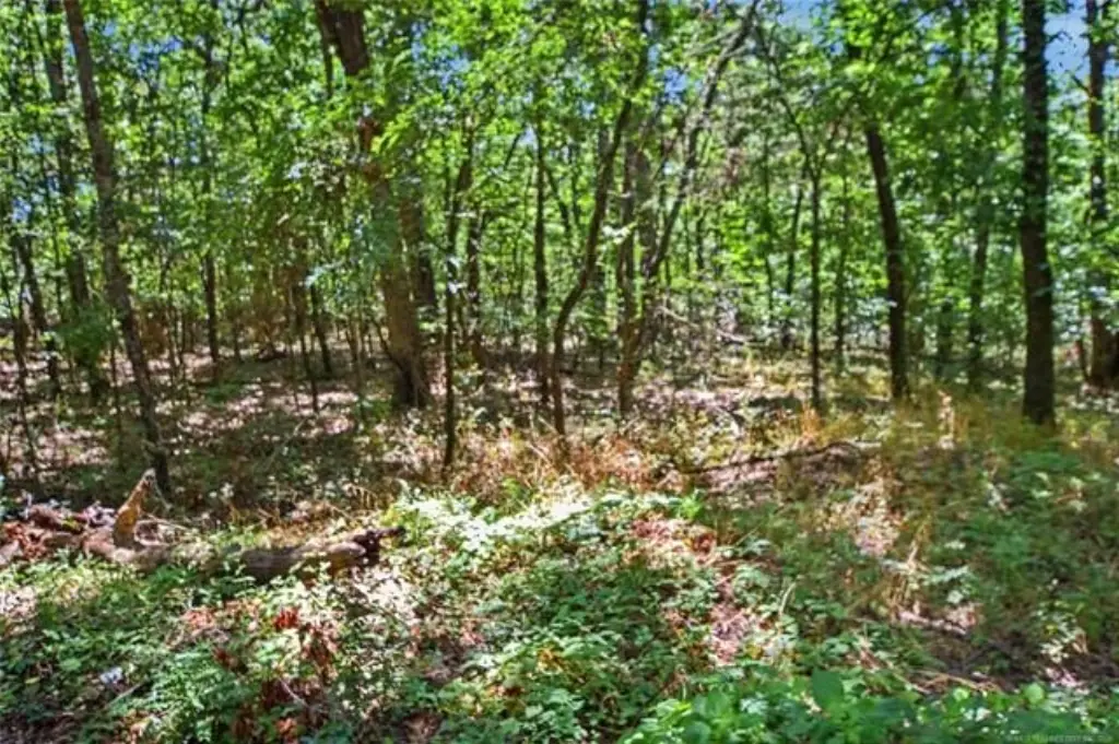 Picture 11