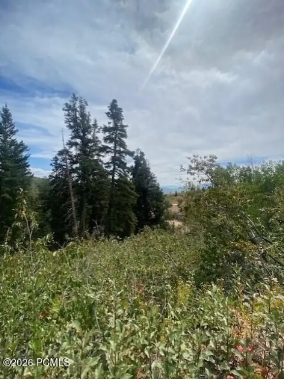 Picture 22