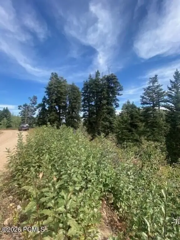 Picture 24