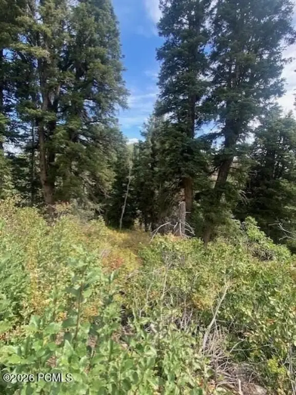 Picture 18