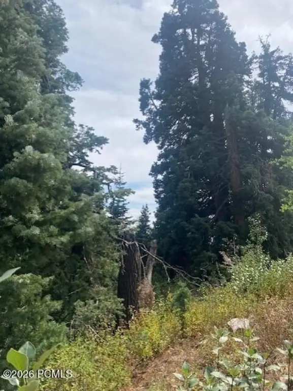 Picture 25
