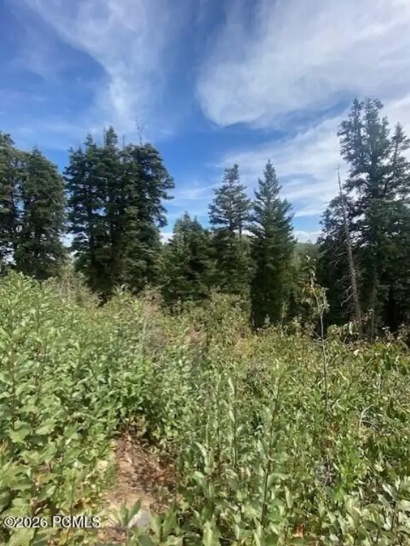 Picture 21