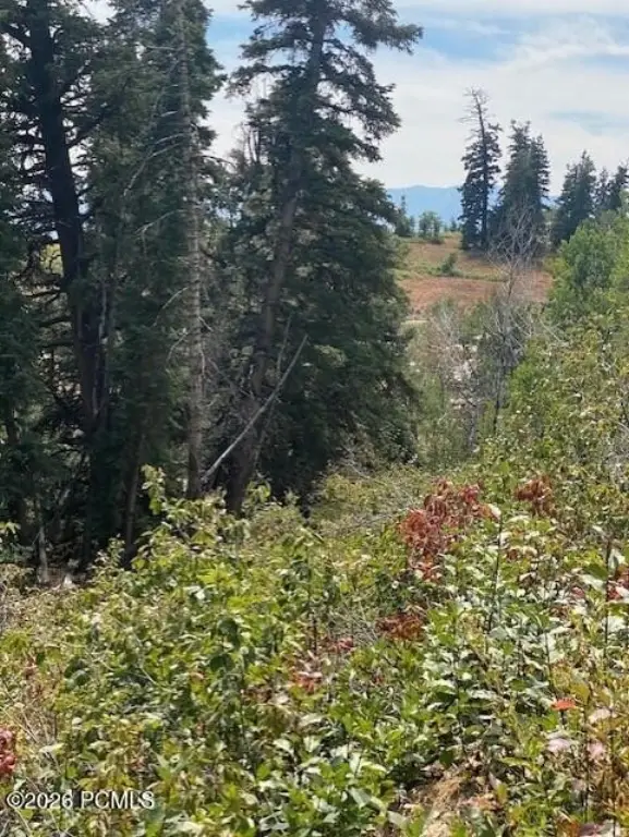 Picture 14