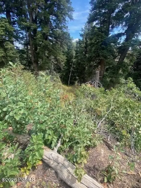 Picture 17