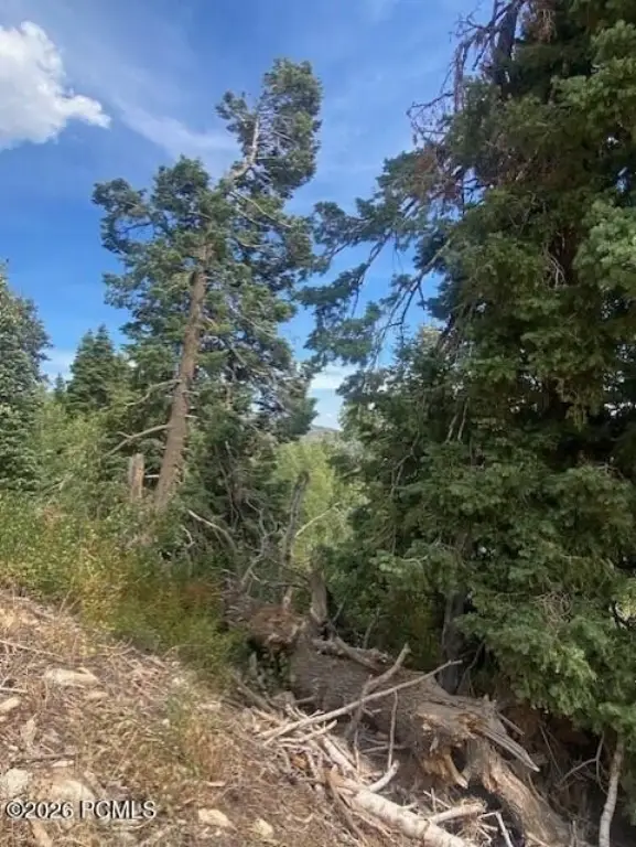 Picture 9