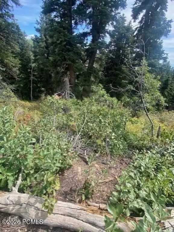 Picture 16