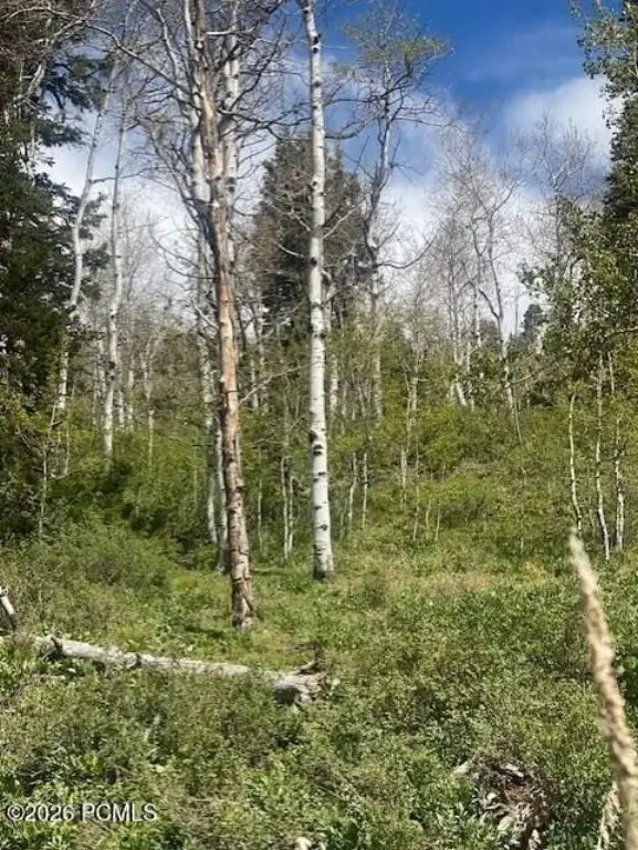 Picture 10