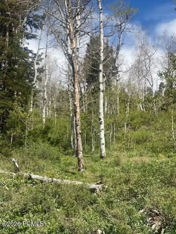 Picture 7