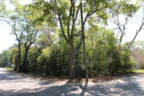 Vacant Residential Lots, Moultrie GA