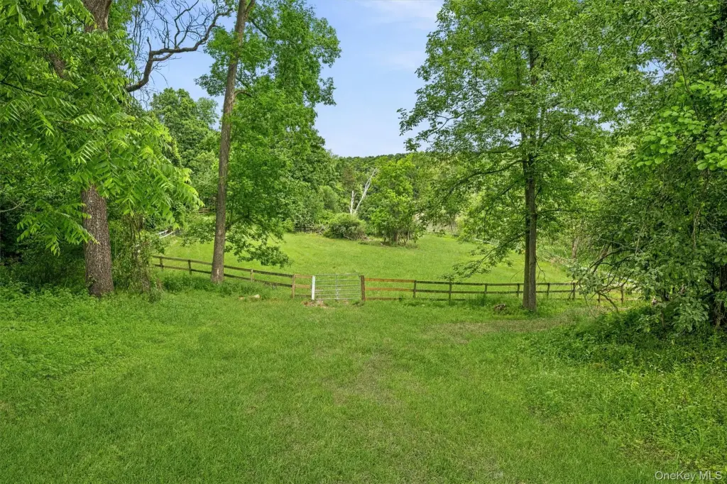 Picture 33