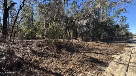 10+ Acres Agricultural Land, Interlachen