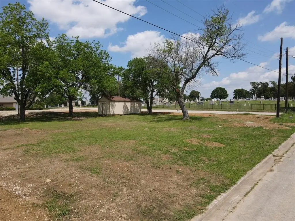 Picture 17
