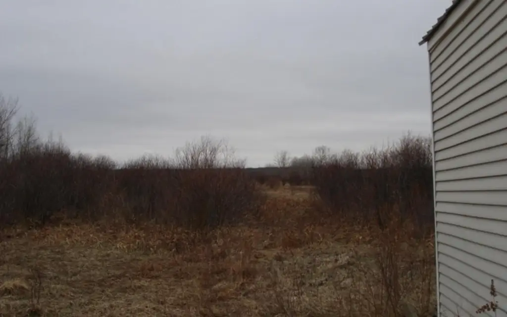 Picture 11