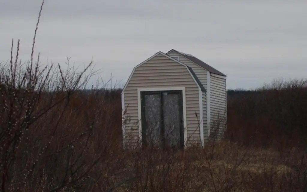 Picture 8