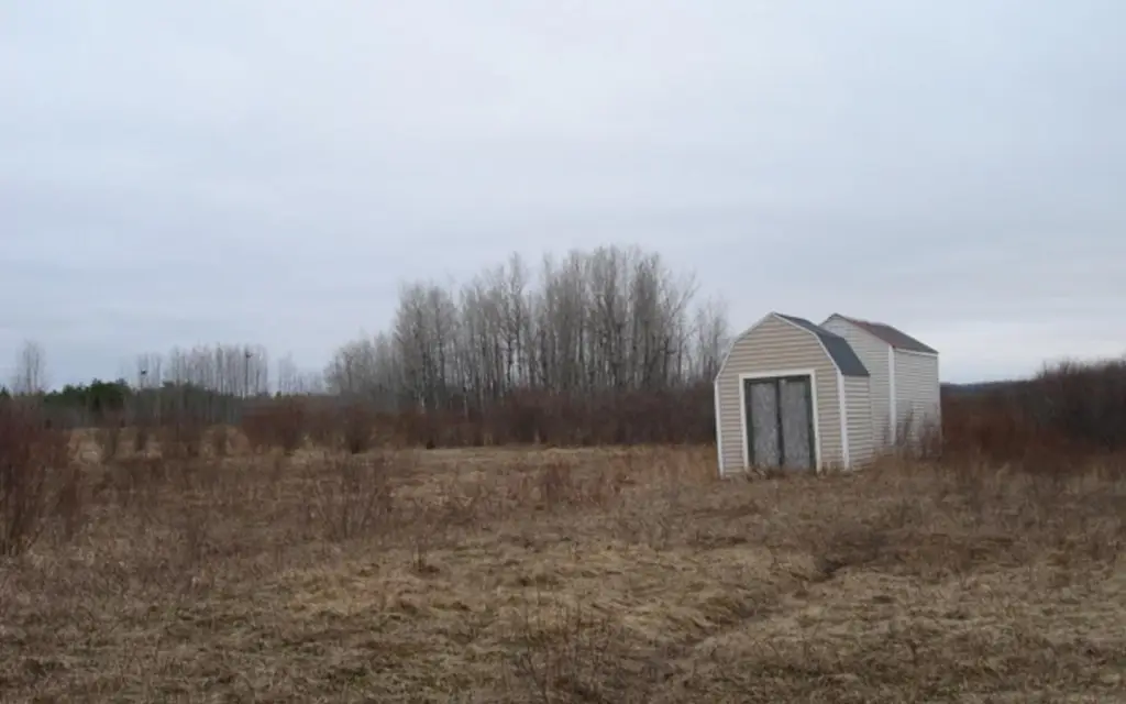 Picture 9