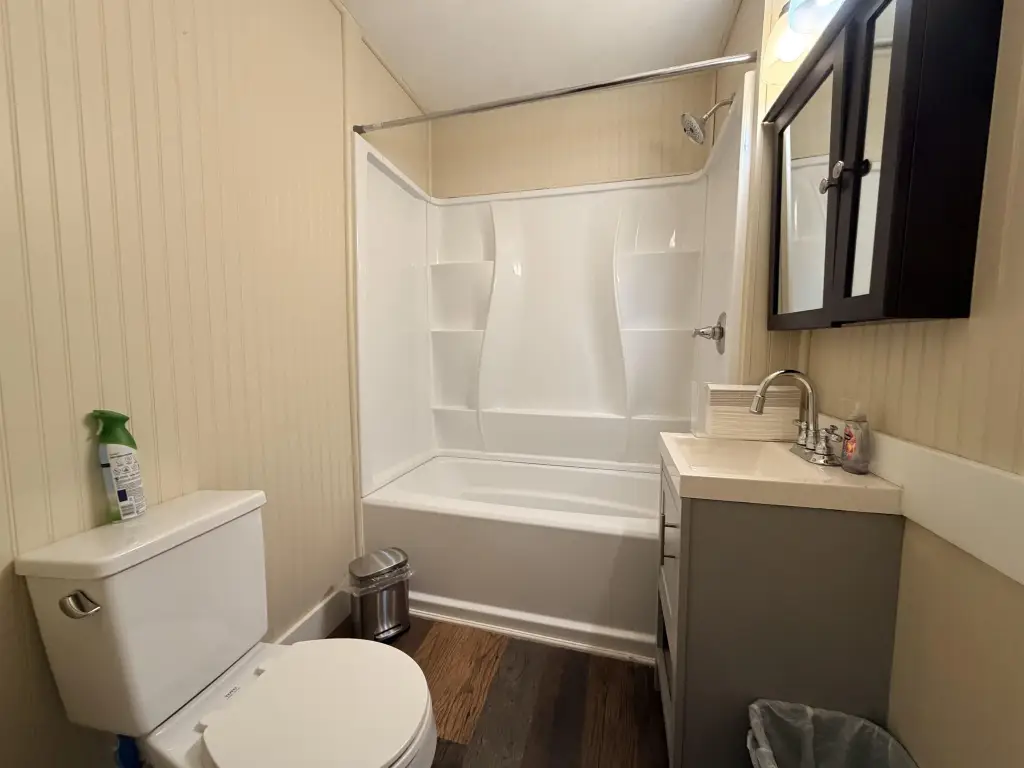 Picture 21