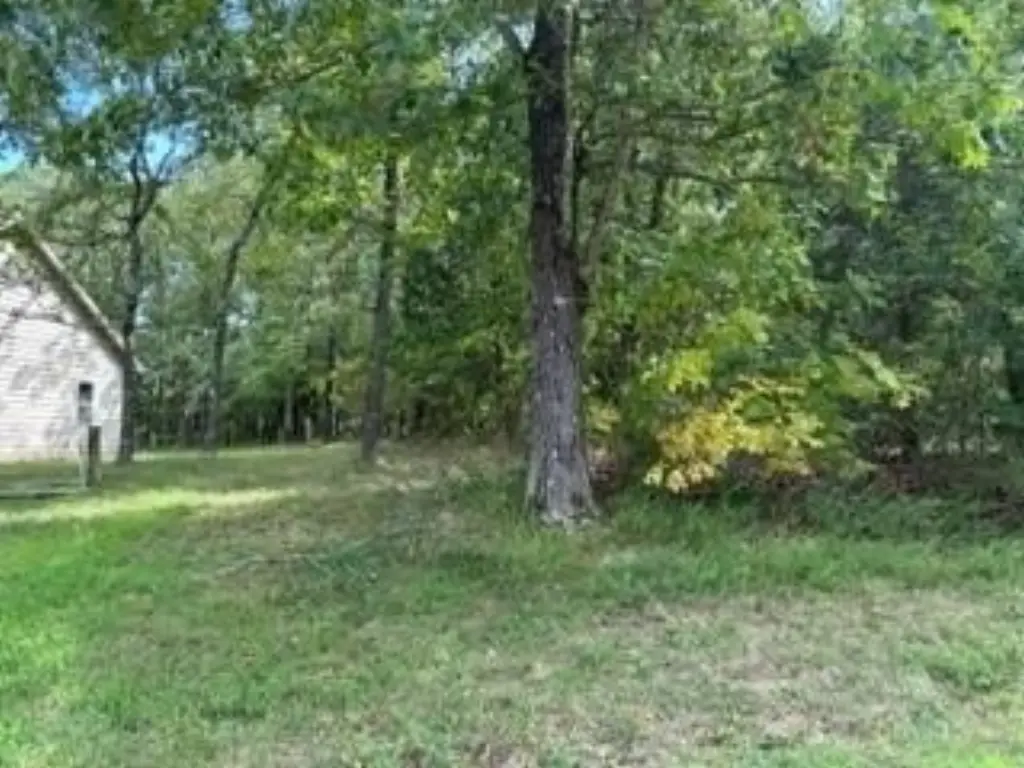 Picture 3